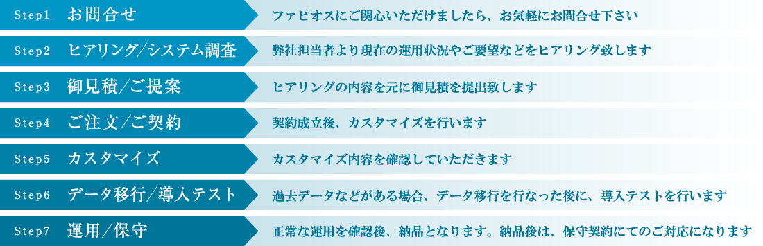 ファピオス導入までの流れ