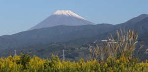 IMG富士山１